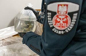 Ponad 1000 koralowców przemycanych na Okęciu. Akcja KAS