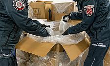 Ponad 1000 koralowców przemycanych na Okęciu. Akcja KAS