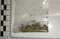 Nerwowy spacer zakończył się zatrzymaniem. Miał przy sobie marihuanę