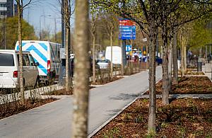 Marszałkowska po zmianach. Nowa przestrzeń już otwarta