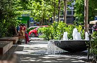 Gigantyczne koszty zieleni w Warszawie. Ile płacą mieszkańcy?