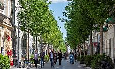 Gigantyczne koszty zieleni w Warszawie. Ile płacą mieszkańcy?