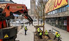 Gigantyczne koszty zieleni w Warszawie. Ile płacą mieszkańcy?