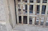 Jeż utknął za kratami szkoły. Interweniowali strażnicy i strażacy