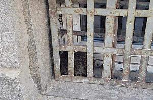 Jeż utknął za kratami szkoły. Interweniowali strażnicy i strażacy