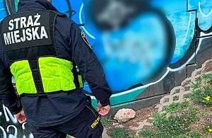 Zakodowana reklama dilera na filarach wiaduktu. Interwencja straży miejskiej