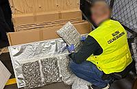 Prawie 90 kg marihuany w paczce z Kanady. Zatrzymano odbiorczynię