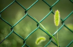 Jak wybrać ogrodzenie w Warszawie? Praktyczny poradnik