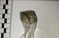 Zapach marihuany doprowadził do zatrzymania