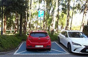 Przerobiła kartę parkingową. Teraz grozi jej więzienie