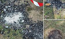 Grillowanie w parku Bródnowskim pod lupą. Mieszkańcy skarżą się na hałas i dym