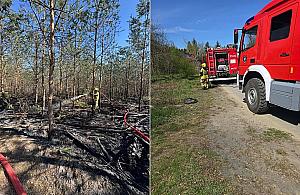 Pożary lasów i łąk. Strażacy wyjeżdżają niemal bez przerwy