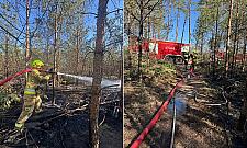 Pożary lasów i łąk. Strażacy wyjeżdżają niemal bez przerwy