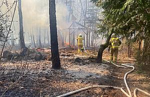 Pożar lasu pod Pułtuskiem. Leśniczy ruszył na pomoc seniorowi