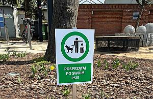 Tabliczki dla "psiarzy" zamiast koszy. Mieszkańcy Wawra oburzeni