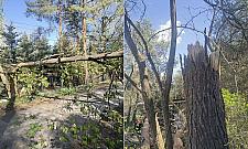 Silny wiatr w powiecie legionowskim. 24 interwencje strażaków