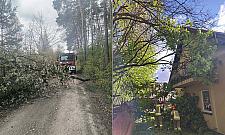 Silny wiatr w powiecie legionowskim. 24 interwencje strażaków