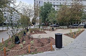 Więcej zieleni na Rydygiera? Dwa projekty trafią pod głosowanie mieszkańców