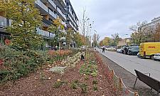 Więcej zieleni na Rydygiera? Dwa projekty trafią pod głosowanie mieszkańców