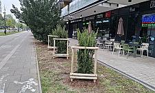 Więcej zieleni na Rydygiera? Dwa projekty trafią pod głosowanie mieszkańców