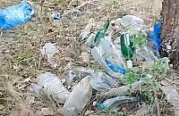 Nad Narwią zalegają śmieci. Leśnicy apelują o pomoc