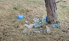 Nad Narwią zalegają śmieci. Leśnicy apelują o pomoc