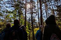 Bielański Festiwal Kampinosu 2026. Spacery, warsztaty i wydarzenia w Puszczy