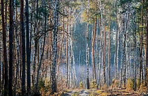 Pokaż piękno powiatu w obiektywie. Rusza konkurs fotograficzny