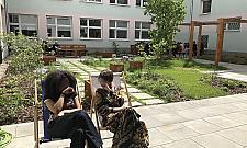 Liceum na Bemowie chce rozbetonować szkolny plac. Powstanie zielony ogród?