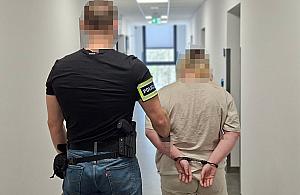 Wywieźli psy do lasu i zostawili przywiązane do słupa