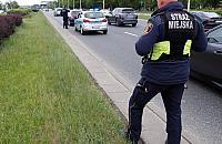 Dramat na Wisłostradzie. Strażnicy i policjanci ratowali potrąconą suczkę