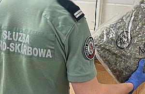 KAS udaremniła przemyt 27 kilogramów marihuany w przesyłkach