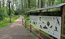 Park Olszyna coraz mniej bezpieczny? Mieszkańcy alarmują o chuligańskich wybrykach