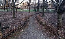 Park Olszyna coraz mniej bezpieczny? Mieszkańcy alarmują o chuligańskich wybrykach