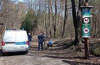 Wjechała pod zakaz na Ursynowie. Policjanci odkryli więcej