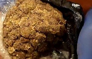 Miały być mandarynki, była marihuana. KAS przejęła narkotyki warte miliony