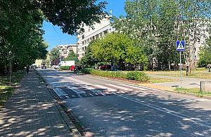 Zebra przy Alei Sportów Miejskich zostanie wyniesiona? Urzędnicy są na tak