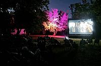 Rusza letnie kino i teatr dla dzieci na plaży Romantycznej. Co i kiedy zobaczymy?