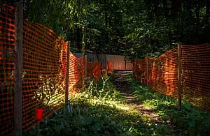 Park Arkadia przejdzie metamorfozę. Powstaną nowe alejki i więcej zieleni
