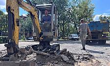 Mniej betonu, więcej zieleni. Kolejne bielańskie podwórka przejdą metamorfozę