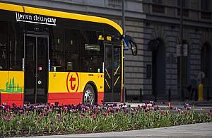 Filmowcy na ul. Kasprowicza. B�d� zamkni�cia i objazdy dla autobus�w