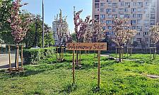 Wolskich rewolucji podw�rkowych ci�g dalszy. Co zmieni si� w przysz�ym roku?