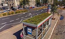 Jeszcze wi�cej zielonych przystank�w na Woli. Kt�re lokalizacje si� zazieleni�?