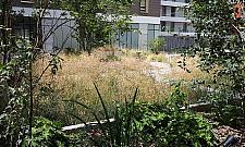 Powstanie nowy park w poprzemysłowej części Grochowa. Mieszkańcy przejęli inicjatywę