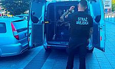 Awantura na Placu. 31-latek pr�bowa� pozby� si� podejrzanego zawini�tka