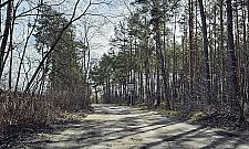 Asfalt na le�nym odcinku Kroczewskiej? Mieszka�cy czekaj� na decyzj�