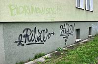 Więcej Free Graffiti na Żoliborzu? Radna ma pomysł na walkę z wandalizmem