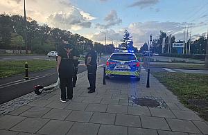 Policja kontroluje elektryczne jednoślady. Szczególną uwagę zwracają na jeden typ pojazdów