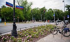 Zamiast drogi rowerowej wybieraj� slalom mi�dzy pieszymi. Czy co� zmieni si� na Mickiewicza?