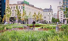 Plac Powsta�c�w Warszawy zmieni� si� nie do poznania. Tysi�ce ro�lin i nowa pergola